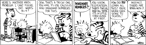 Calculus cartoon